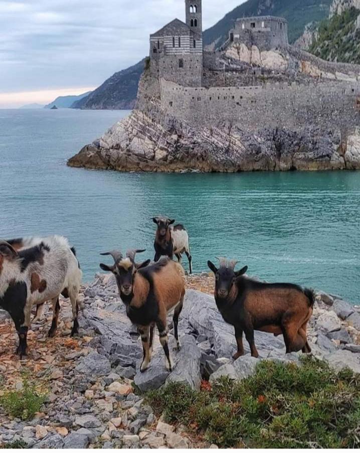 Appartamento Rebecca House La Spezia